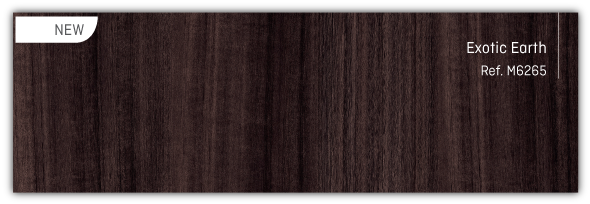 Earth (590x204), Png Download