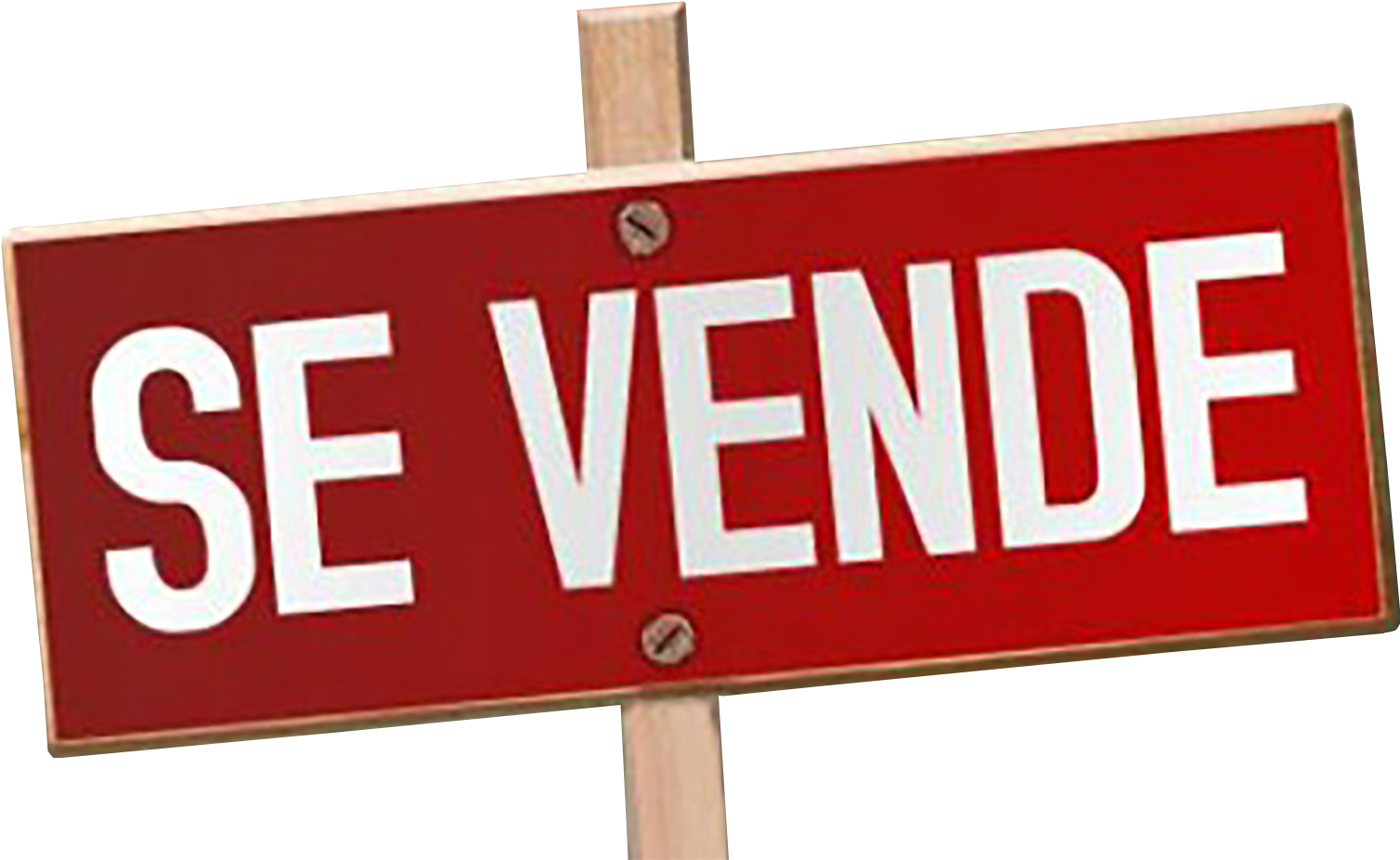 Lucy La Eternidad Que Ella Deseo (1704x1004), Png Download