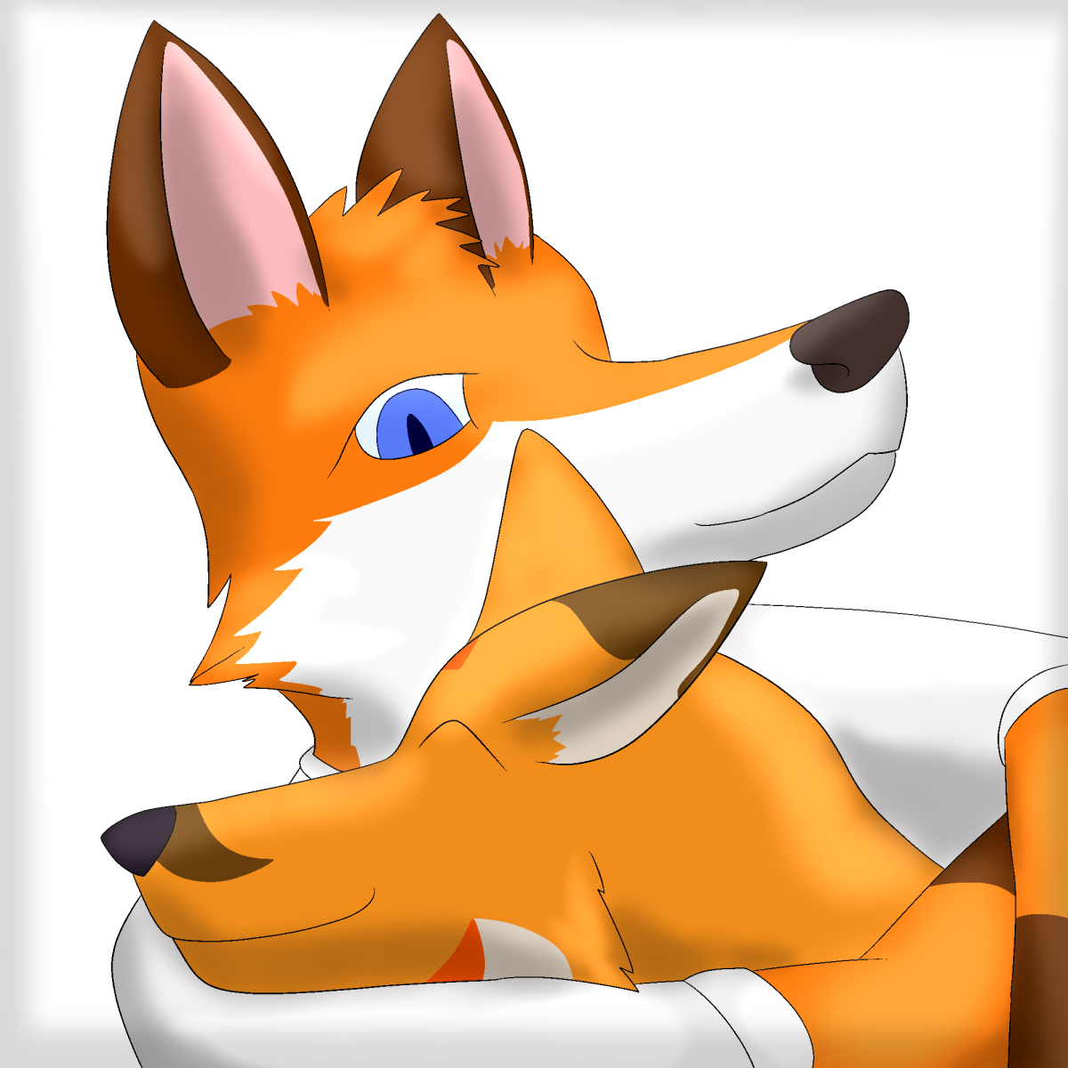 2 Adorable Foxes Hugging - Fox (1200x1200), Png Download