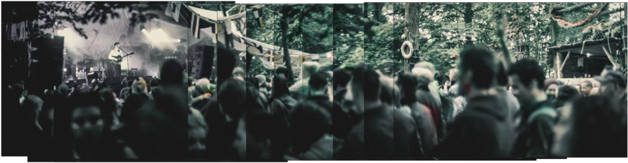 David Kitt Salty Dog Electric Picnic 2016 3 - Electric Picnic 2016 (1000x293), Png Download