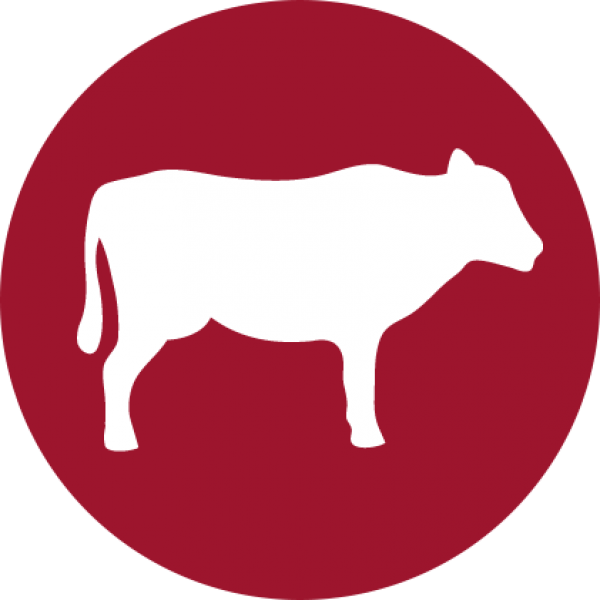 Halo Uses Only Real Whole Meat, Poultry, Or Fish, And - No Red Meat Icon (600x600), Png Download