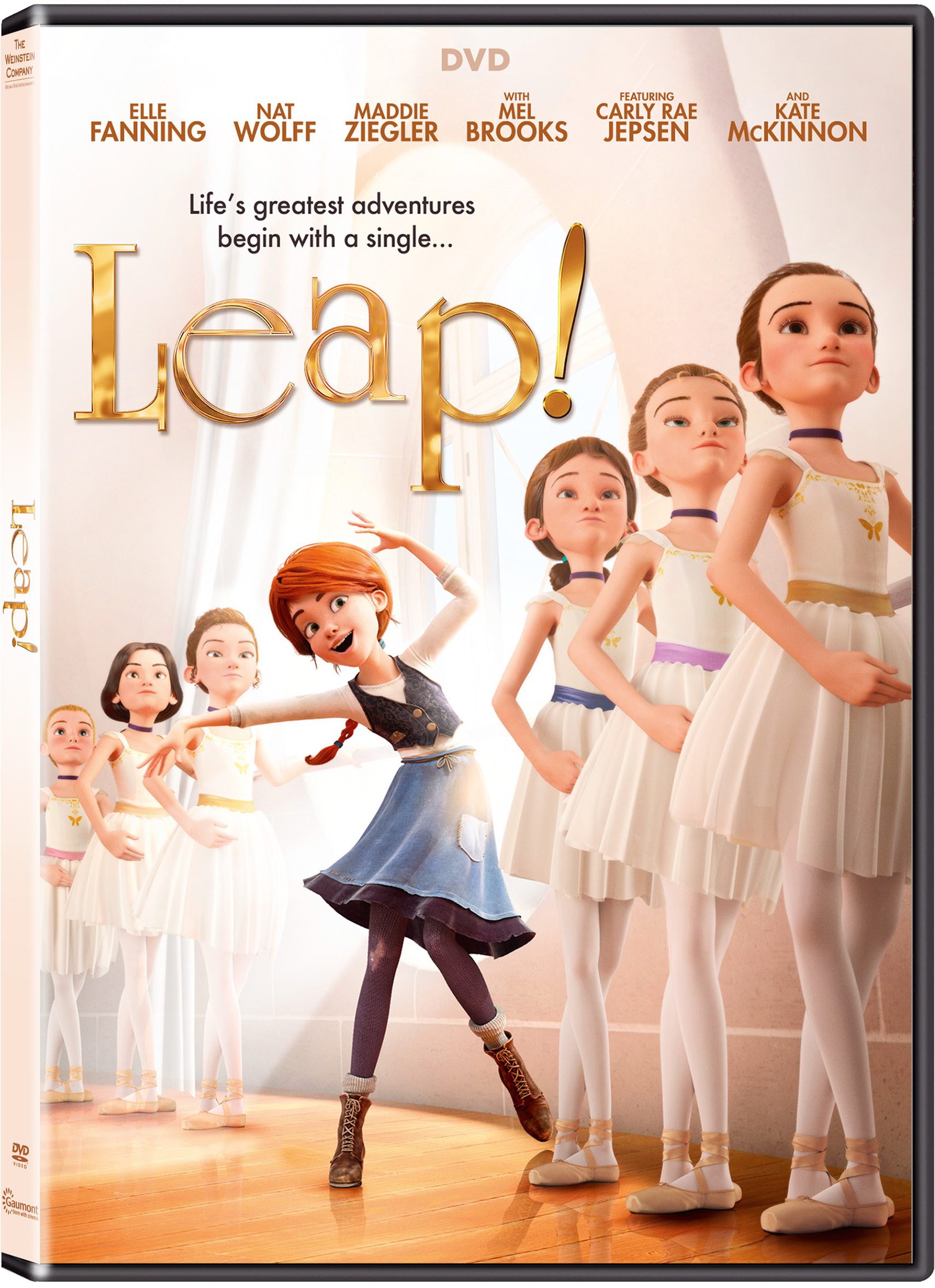 Leap Dvd (2048x2720), Png Download