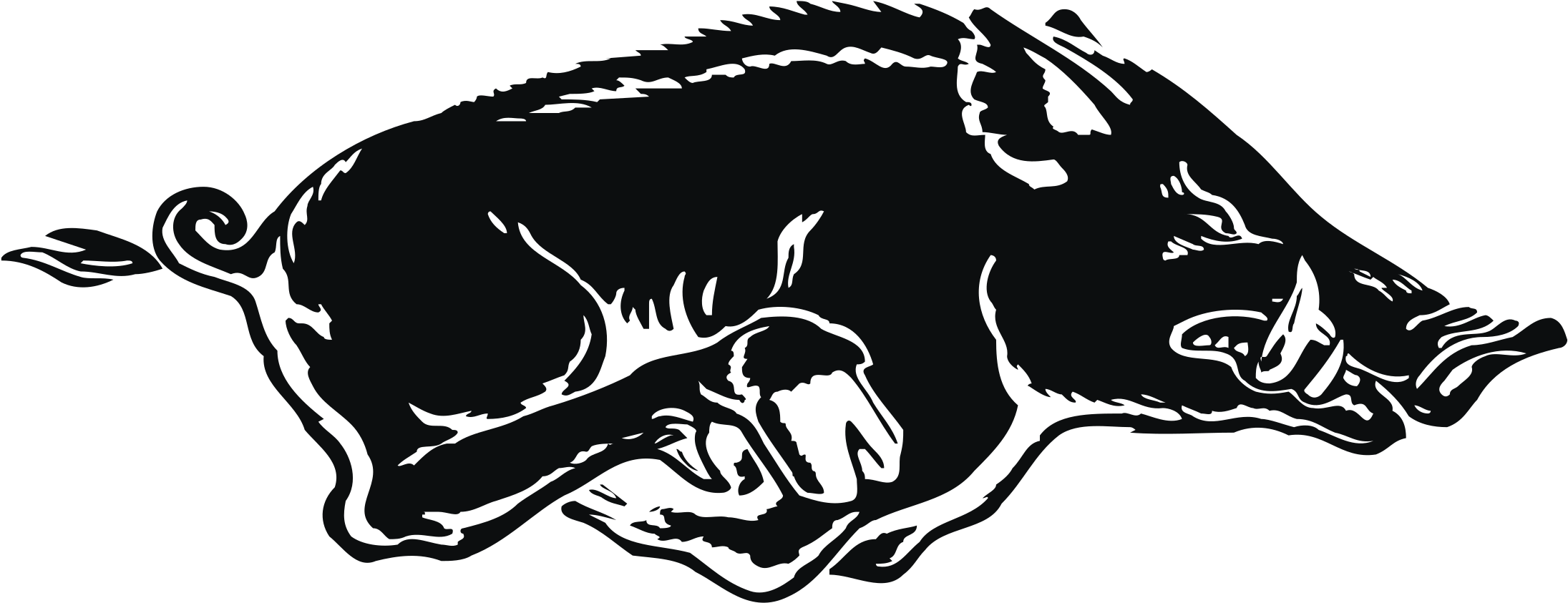 Arkansas Razorback Logo Png Transparent - Arkansas Razorbacks Logo (2400x2400), Png Download