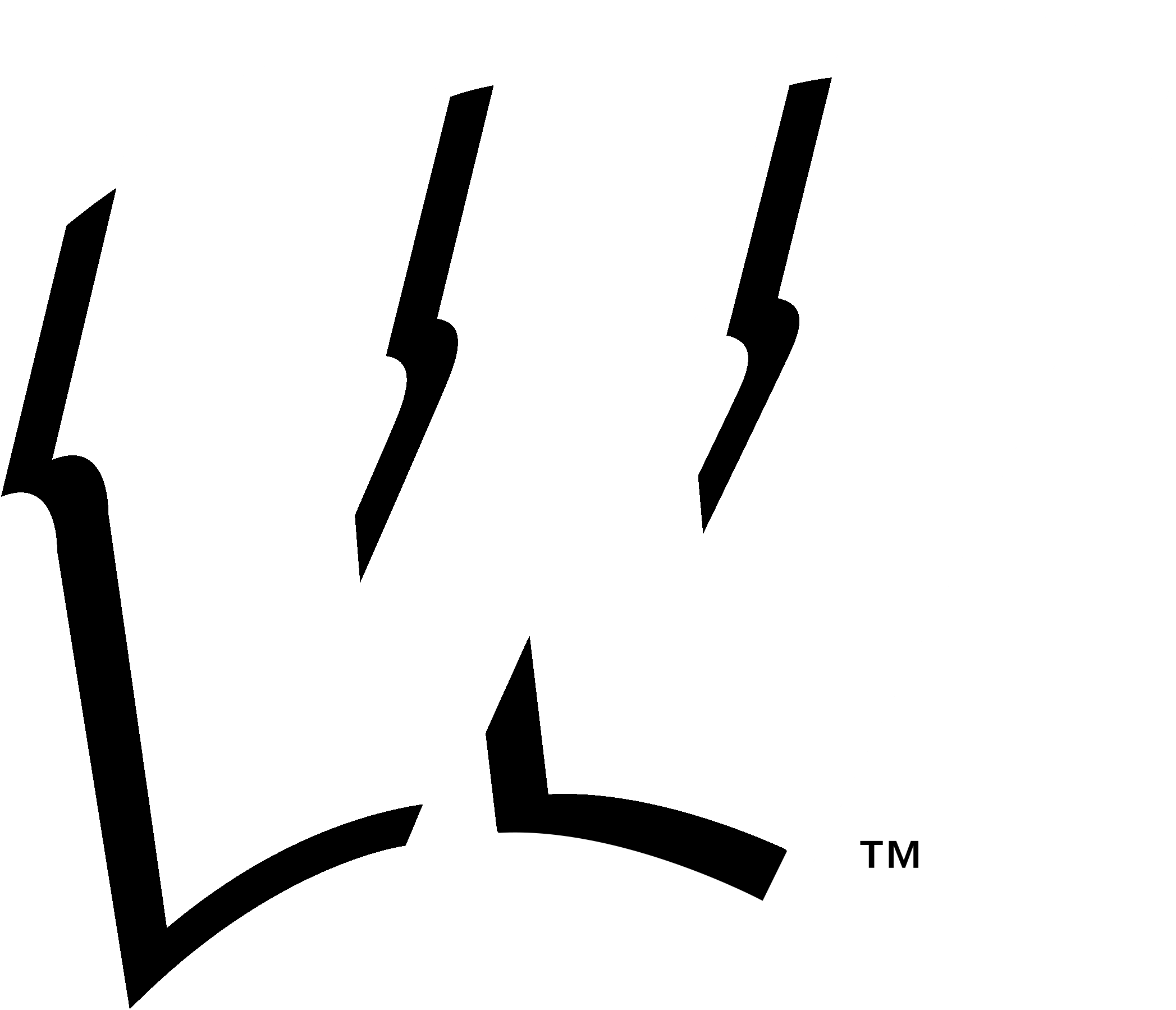 Wisconsin Badgers Logo Black And White - Wisconsin Badgers Logo Png Black (2400x2400), Png Download