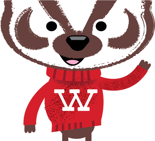 Types Of Aid - Bucky Badger Uw Madison (900x600), Png Download