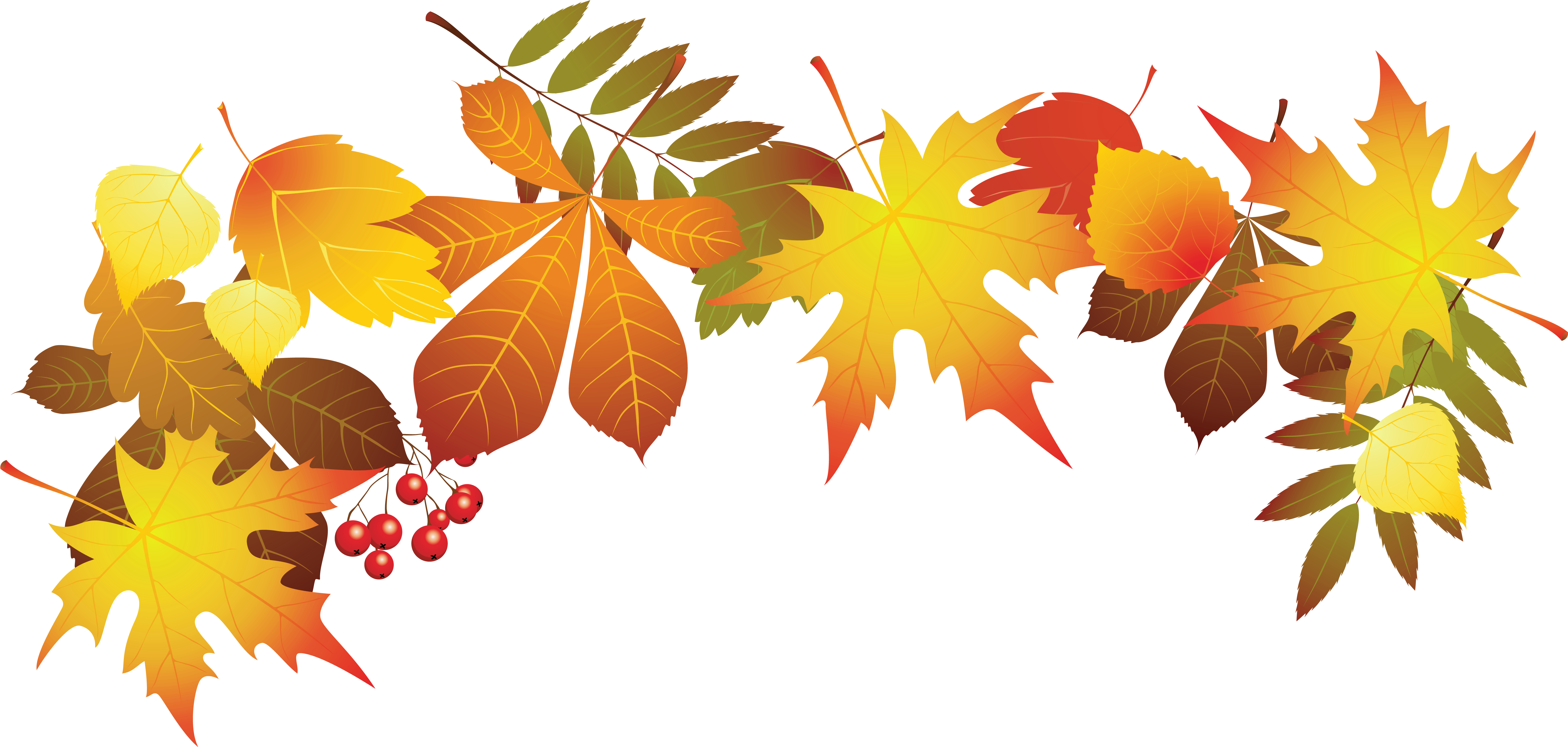 Fall Leaves Transparent Background (6759x3276), Png Download