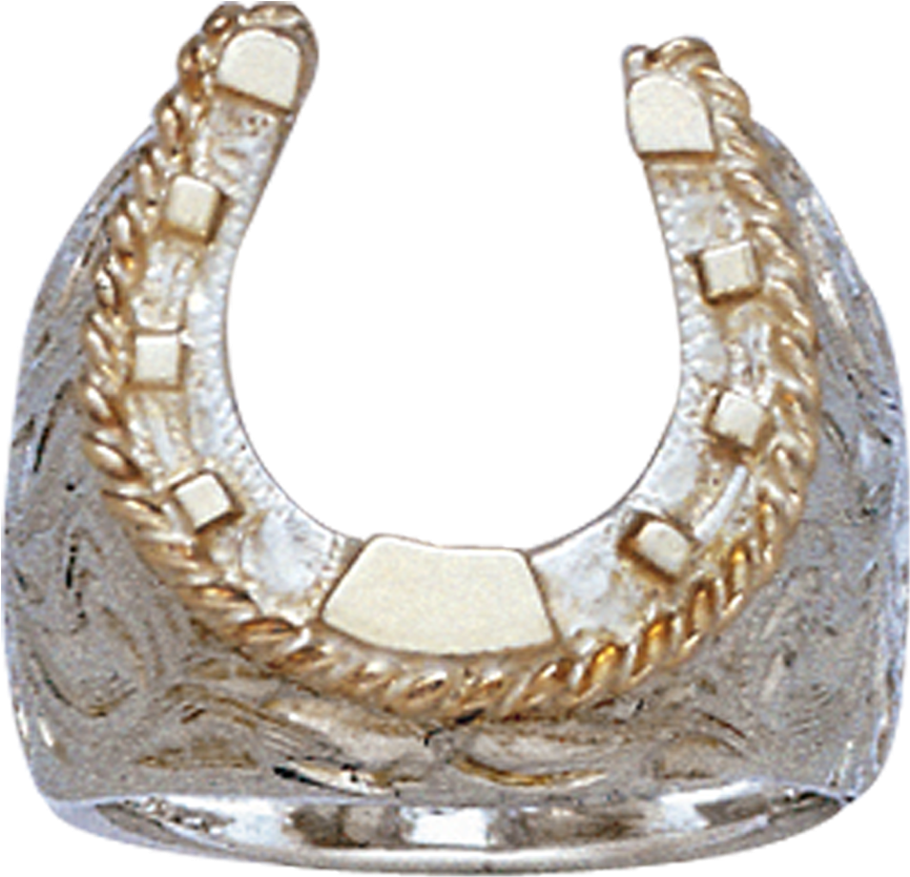 The Sawyer 14k Gf Sterling Horseshoe Ring - Horseshoe Ring Png (2048x2048), Png Download