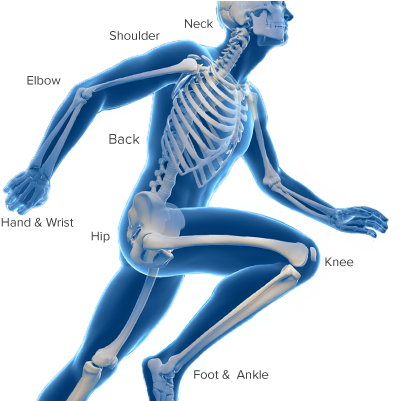 What - Hyderabad (477x400), Png Download