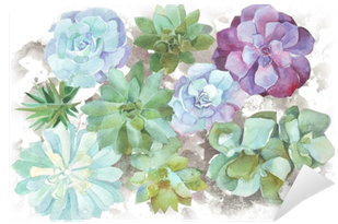 Watercolor Flowers Succulents Wall Mural Pixers174 - Acuarela Suculentas (400x400), Png Download