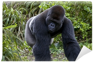 Bank (400x400), Png Download