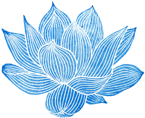 Best Transparent Blue Background Transparent Pattern - Lotus Flower Transparent (464x378), Png Download