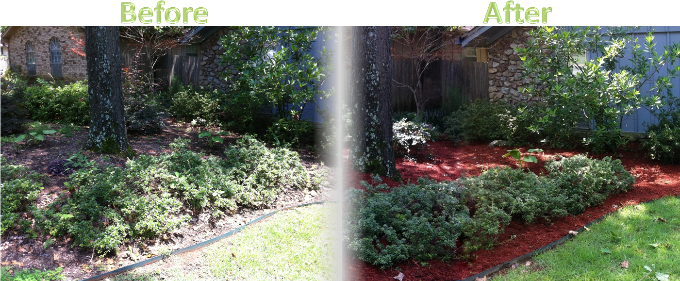 Lawnserve Of Ar Shrub Trimming And Mulch Before And - Mulch Before And After (1402x617), Png Download