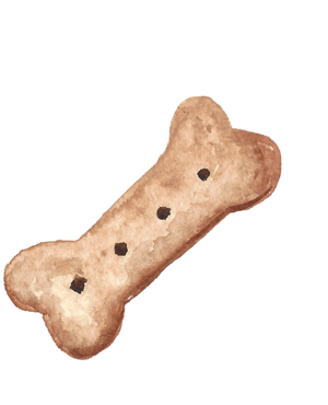 Dog Tennis Ball - Snout (300x370), Png Download