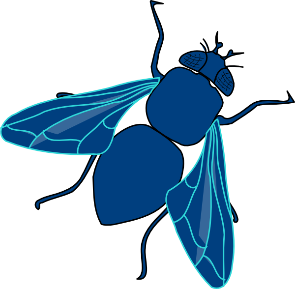 Fly Png Transparent Image - Blue Fly Clipart (600x588), Png Download