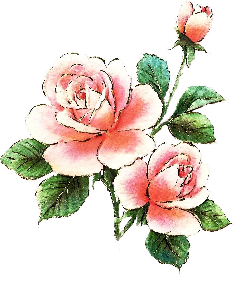 Jinifur Pink Rose Element By Jinifur On Clipart Library - Free Pink Roses Clipart (939x1175), Png Download