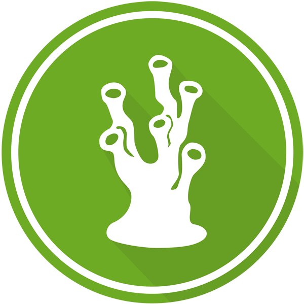 Rp - 150,000 - Bnktothefuture Bft (600x599), Png Download