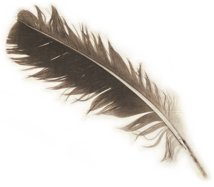 Feather For Writing Png (437x382), Png Download