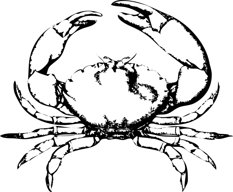 Chesapeake Blue Crab Red Picture Black And White - Black And White Crab Clip Art (910x750), Png Download