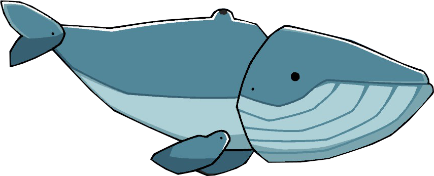 Cartoon Whale Png Clip Transparent - Blue Whale Cartoon Png (855x348), Png Download