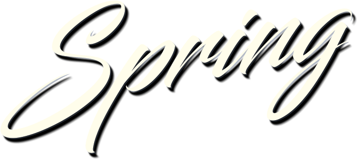 Calligraphy (801x378), Png Download