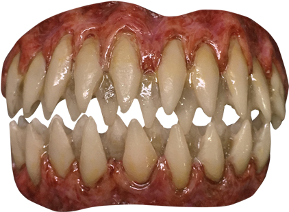 Dentures (436x639), Png Download