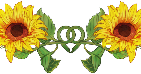Best Wild Flowers Sunflower Png These Are - Common Sunflower (450x300), Png Download