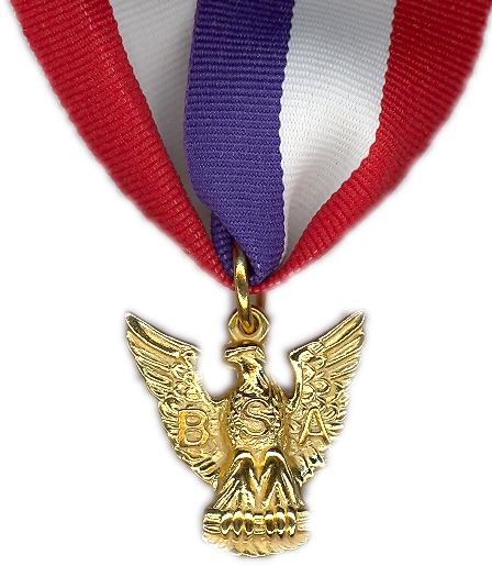 Distinguished Eagle Scout Award (448x515), Png Download