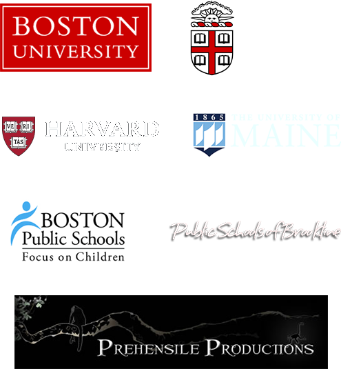 Internships - Boston Public Schools (495x535), Png Download