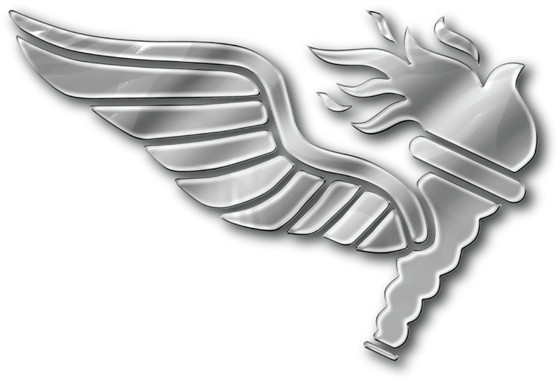 Emblem (800x557), Png Download