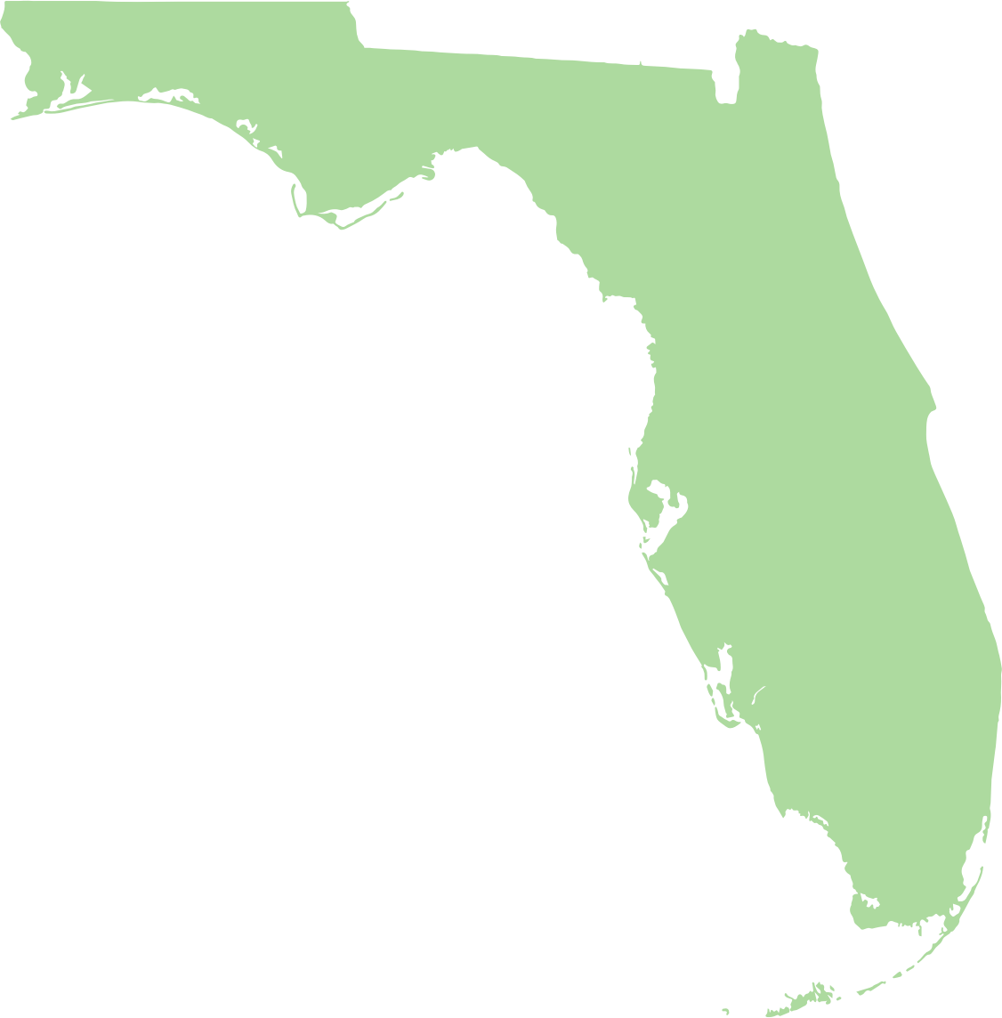 Clipart Florida State Contour Png Flordia State - Map Of Florida (1126x1144), Png Download