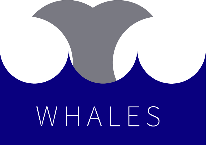 One Thing I Have Learned To Love In Illustrator Is - Illustrator (712x501), Png Download