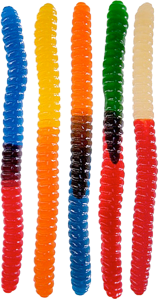 Largestgummyworm 716 Kb - World's Largest Gummy Worm (550x984), Png Download