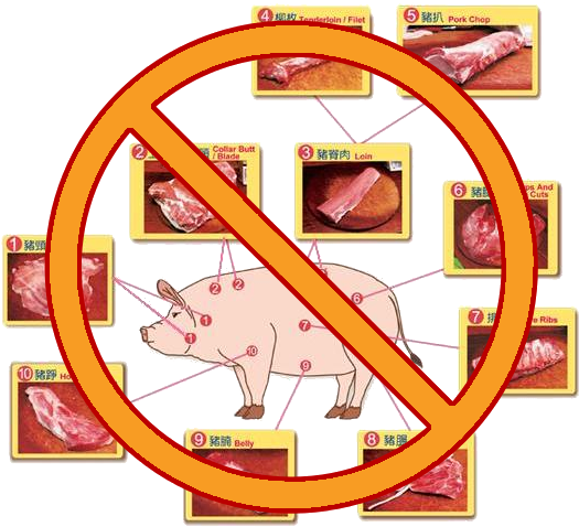 No Pork - No Pork Muslim (551x482), Png Download