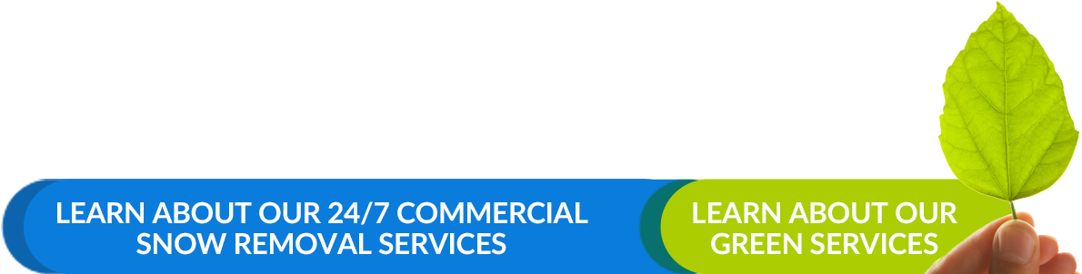 Green Services,asnow Removal - Snow (1200x306), Png Download