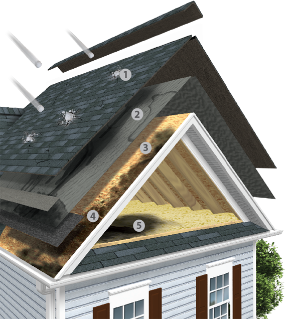 Roof Hail Damage Diagram - Hail (568x636), Png Download