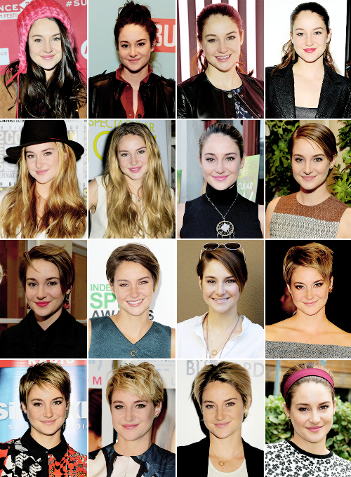 Welcome To Shailene Woodley Daily - Collage (500x680), Png Download