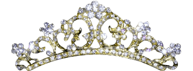 Gold Princess Crown Png Golden Princess Tiara - Sea Tiara Transparent (396x396), Png Download