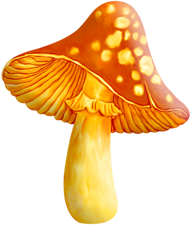 Tubes Champignons / Feuillages - سكرابز فطر (400x490), Png Download