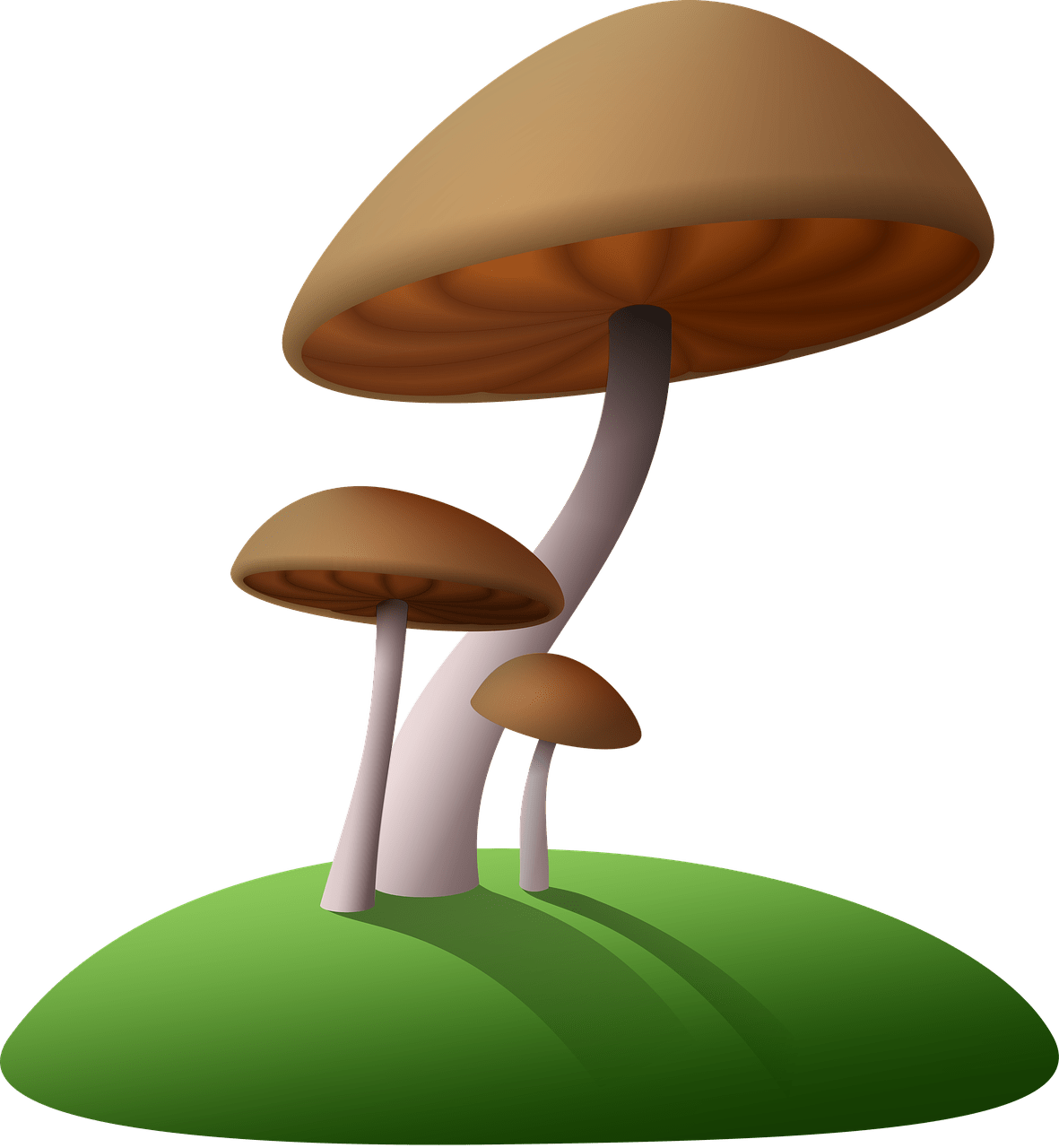 Descargar - Transparent Background Mushroom Clip Art (1181x1280), Png Download
