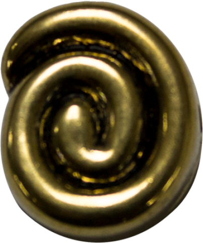 A304-ant/gold - Spiral (800x800), Png Download