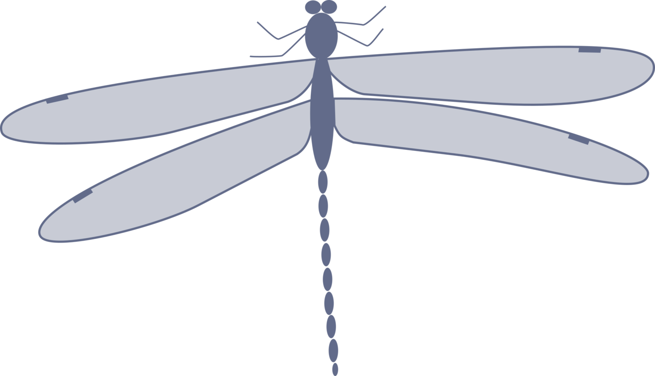 Dragonfly Damselflies Insect Computer Icons Drawing - Custom Dragonfly Shower Curtain (1306x750), Png Download