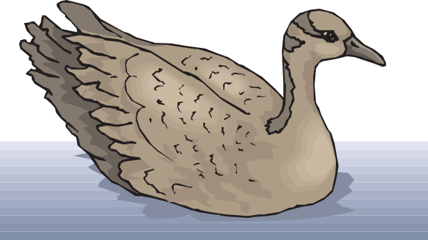 Black Swan Clipart Hans - Geese Swimming Clipart (600x336), Png Download