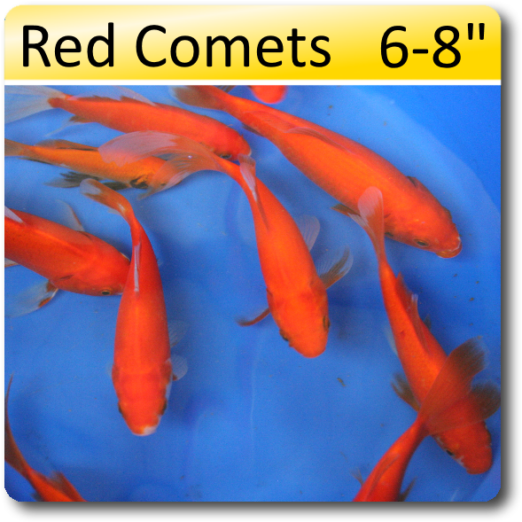 Red Comets 6-8 [rc68] - United States Of America (638x638), Png Download