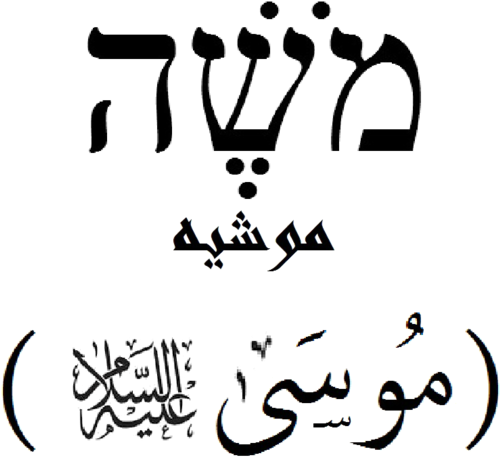 264 × 240 Pixels - Postcards (package Of 8) (529x480), Png Download