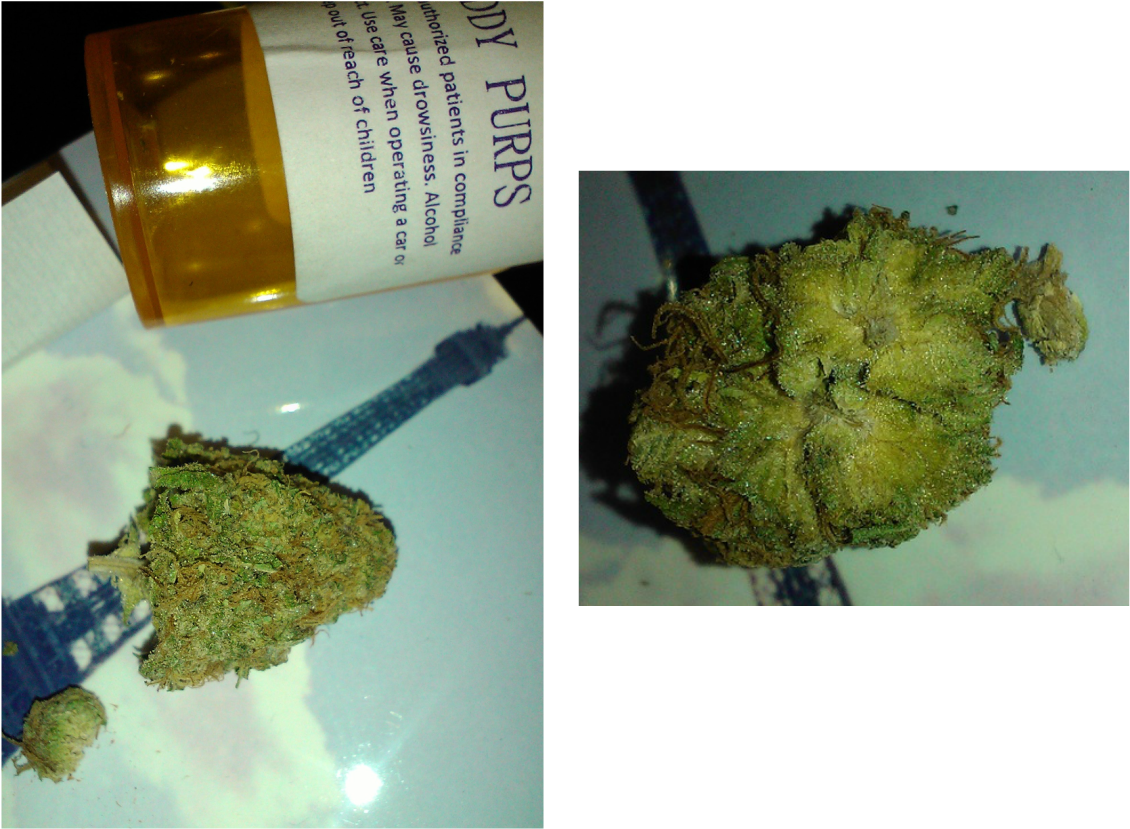 Grandaddy Purps, Sometimes Known As Grandaddy Purple, - Glass Bottle (1130x829), Png Download
