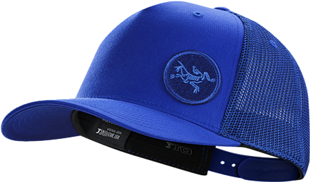 Patch Trucker Hat - Arc'teryx Patch Trucker Hat (450x625), Png Download