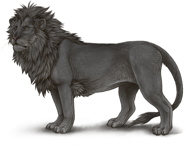 Slate - Prune Lioden (640x500), Png Download