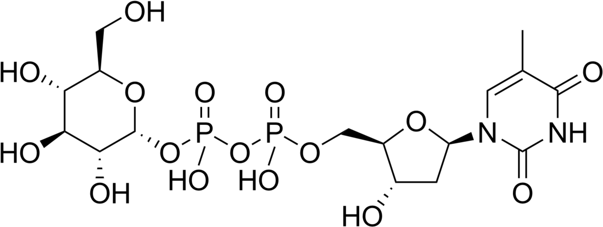 Luteolin 7 O Rutinoside (1200x455), Png Download