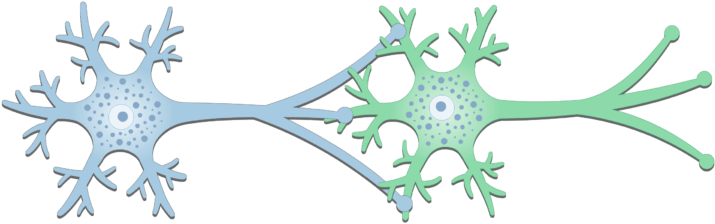 Basic Structure Of Synapse (726x550), Png Download