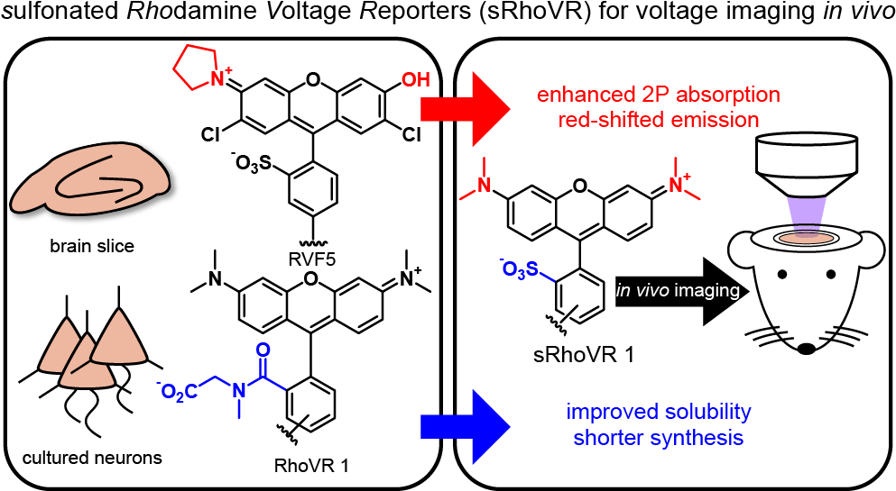 Srhovr Toc Graphic Toc 2 - Dye (993x562), Png Download